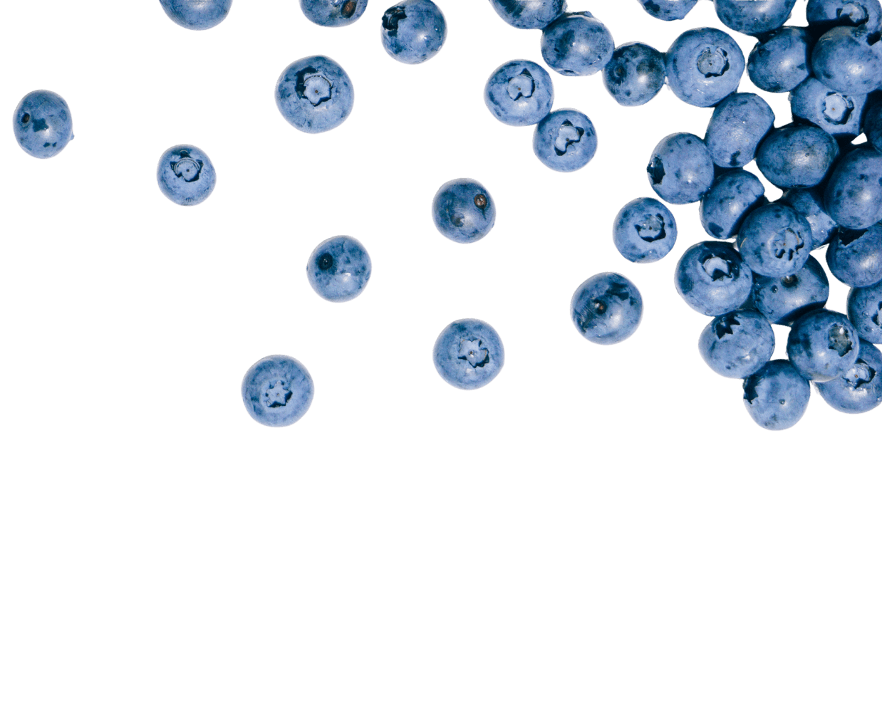 Fresh blueberries